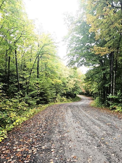  STAR LAKE Rd, McMurrich/Monteith - McMurrich image-0-3