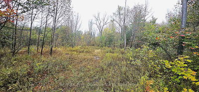  STAR LAKE Rd, McMurrich/Monteith - McMurrich image-0-4