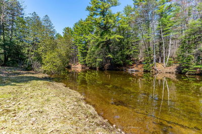 1065 Cloverleaf Rd, Algonquin Highlands -  image-0-3