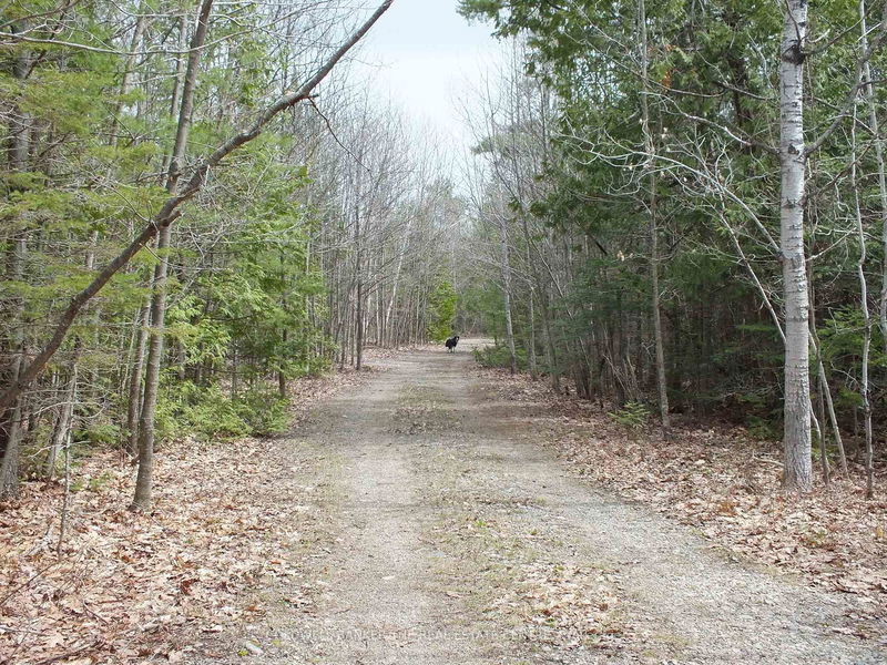 N/A Dial Rd, Central Manitoulin -  image-0-0