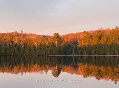  Lippert Lane, Bancroft - Faraday image-0-1