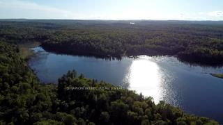  Lippert Lane, Bancroft - Faraday image-0-2