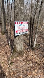  Lippert Lane, Bancroft - Faraday image-0-4