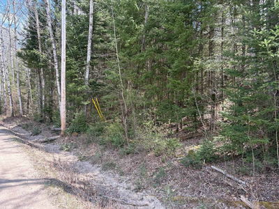 00 Monck Rd, Bancroft - Faraday image-0-1