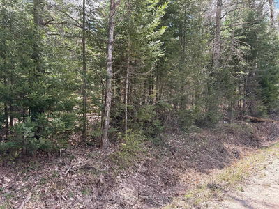 01 Monck Rd, Bancroft - Faraday image-0-1
