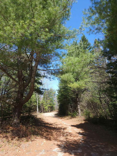  OLD MUSKOKA Rd, Perry - Emsdale image-0-1