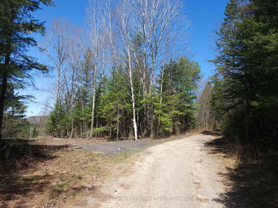  OLD MUSKOKA Rd, Perry - Emsdale image-0-2