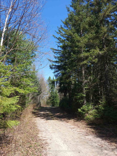  OLD MUSKOKA Rd, Perry - Emsdale image-0-3