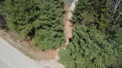  OLD MUSKOKA Rd, Perry - Emsdale image-0-4