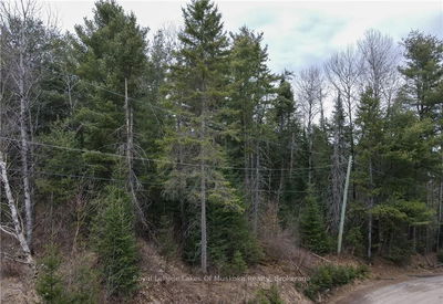 00 OLD MUSKOKA Rd, Perry - Emsdale image-0-1