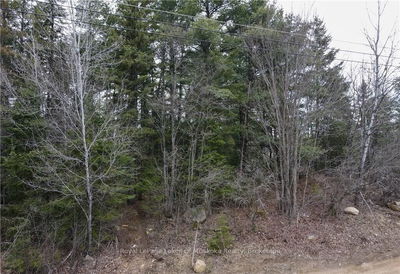00 OLD MUSKOKA Rd, Perry - Emsdale image-0-4