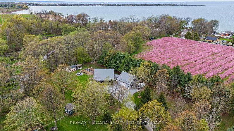 1382 MCNAB Rd, Niagara-on-the-Lake - Lakeshore image-0-0