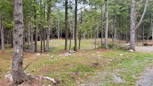 593 County Road 40 N/A