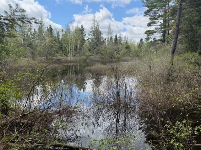 3307 518 Highway, McMurrich/Monteith - McMurrich image-0-0