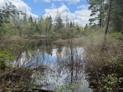 3307 518 Highway, McMurrich/Monteith - McMurrich