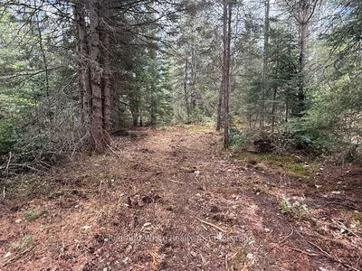3307 518 Highway, McMurrich/Monteith - McMurrich image-0-3