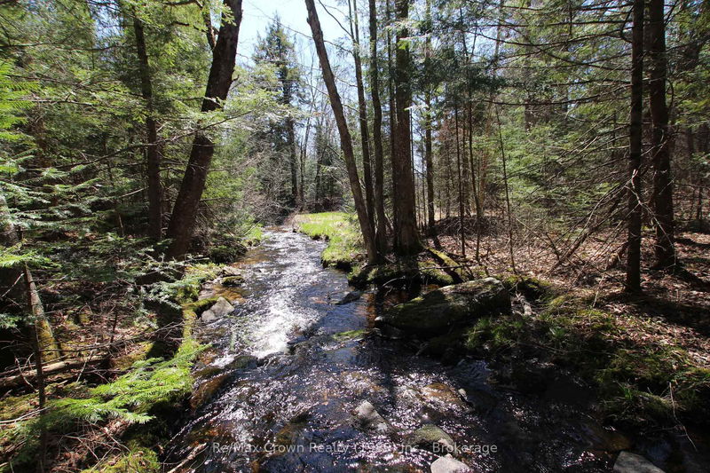  534 Hwy Highway, Parry Sound Remote Area - Restoule image-0-0