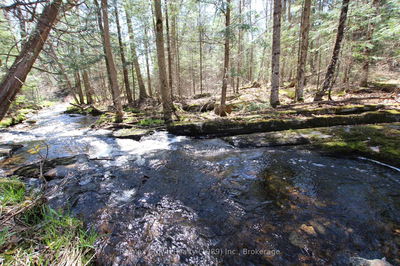  534 Hwy Highway, Parry Sound Remote Area - Restoule image-0-1
