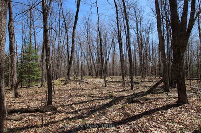  534 Hwy Highway, Parry Sound Remote Area - Restoule image-0-2