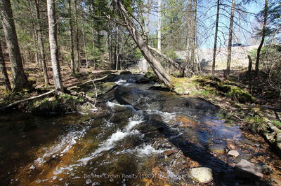  534 Hwy Highway, Parry Sound Remote Area - Restoule image-0-3
