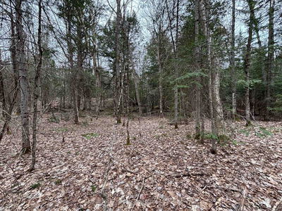 Lot 1 Loch Erne Rd, McDougall - McDougall