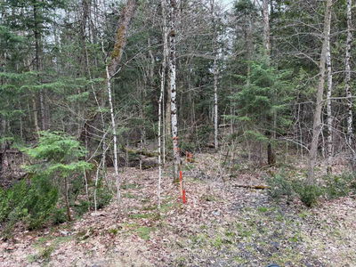 Lot 1 Loch Erne Rd, McDougall - McDougall image-0-1