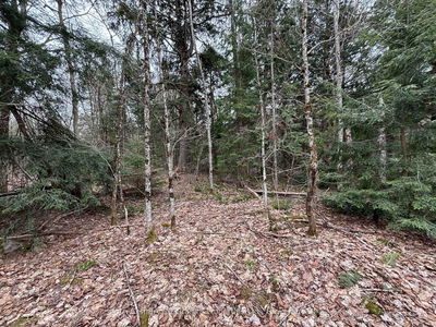 Lot 1 Loch Erne Rd, McDougall - McDougall image-0-2