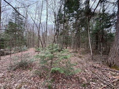 Lot 1 Loch Erne Rd, McDougall - McDougall image-0-3