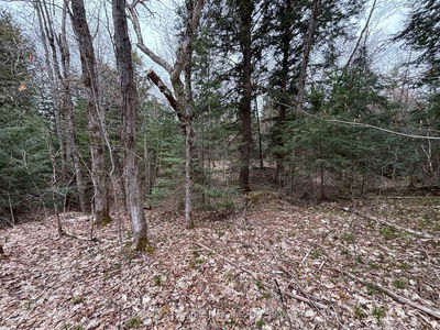 Lot 1 Loch Erne Rd, McDougall - McDougall image-0-4