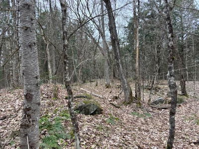 Lot 2 Loch Erne Rd, McDougall - McDougall