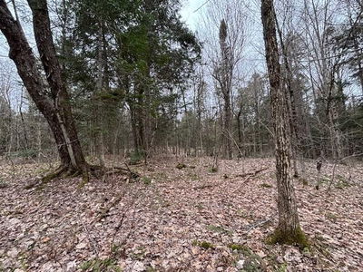 Lot 2 Loch Erne Rd, McDougall - McDougall image-0-1