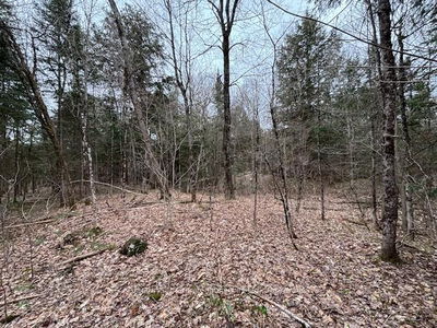 Lot 2 Loch Erne Rd, McDougall - McDougall image-0-2