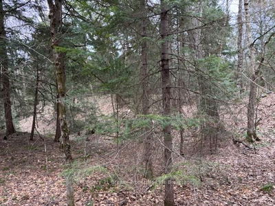 Lot 2 Loch Erne Rd, McDougall - McDougall image-0-3