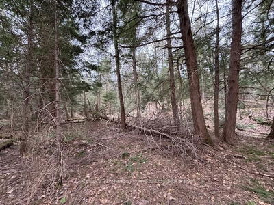 Lot 2 Loch Erne Rd, McDougall - McDougall image-0-4