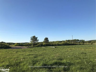 1017 Adams Rd, Strong - Strong