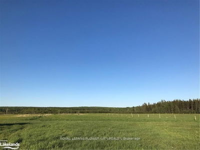 1017 Adams Rd, Strong - Strong image-0-4