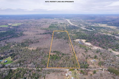 Fern Glen Rd, Perry - Emsdale image-0-3