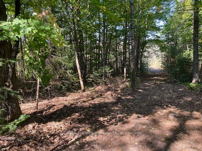 14146 522, Parry Sound Remote Area - McConkey image-0-1