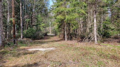 1469 YEARLEY Rd, McMurrich/Monteith - McMurrich