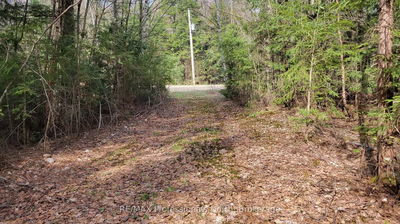 1469 YEARLEY Rd, McMurrich/Monteith - McMurrich image-0-1