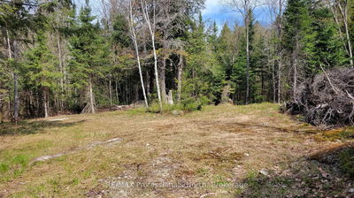 1469 YEARLEY Rd, McMurrich/Monteith - McMurrich image-0-2