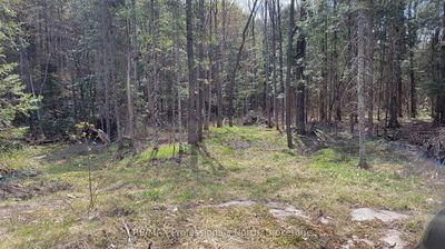 1469 YEARLEY Rd, McMurrich/Monteith - McMurrich image-0-3