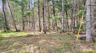 1469 YEARLEY Rd, McMurrich/Monteith - McMurrich image-0-4
