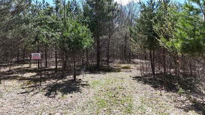  Osprey Rd, Minden Hills - Minden image-0-3