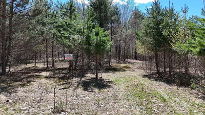  Osprey Rd, Minden Hills - Minden image-0-4