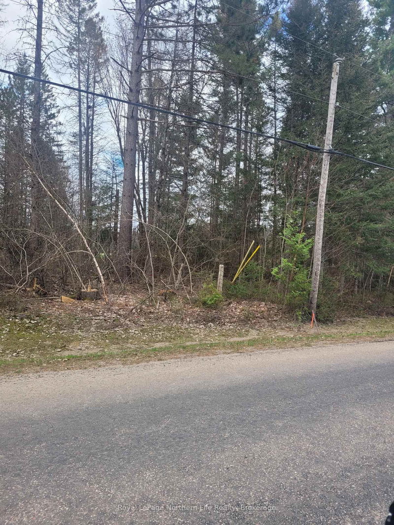 PT LOT 19 CON 13, Papineau-Cameron - Papineau Cameron image-0-0
