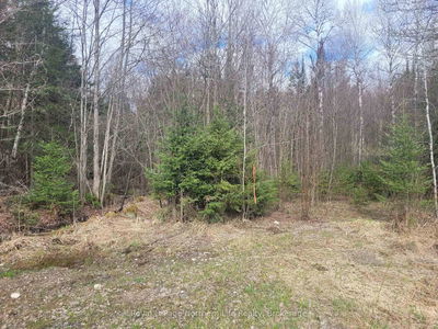 PT LOT 19 CON 13, Papineau-Cameron - Papineau Cameron image-0-1