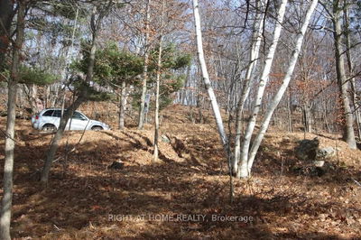 00 Hopper Lane, Rideau Lakes - Rideau Lakes (North Crosby) Twp image-0-1
