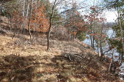 00 Hopper Lane, Rideau Lakes - Rideau Lakes (North Crosby) Twp image-0-2