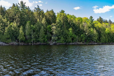 7WA Wahwashkesh Lake, Whitestone - Whitestone image-0-4